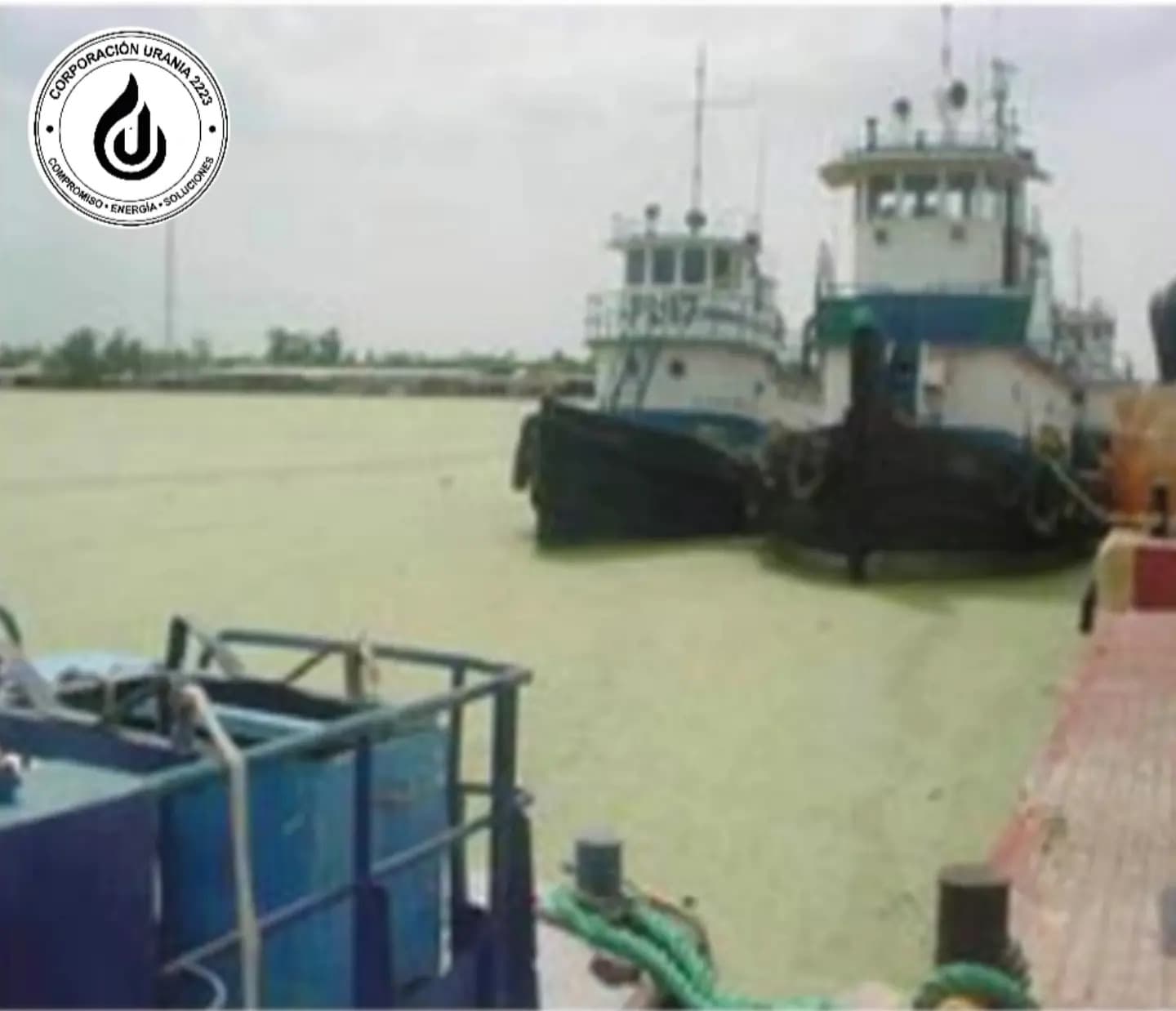 Gabarras de trabajo sobre la manta de lemna que cubría la superficie del lago durante las labores de remoción